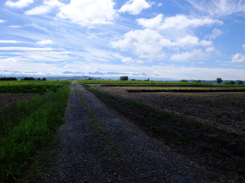 DSCF3116