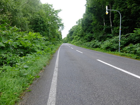 DSCF3031