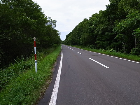 R0011494