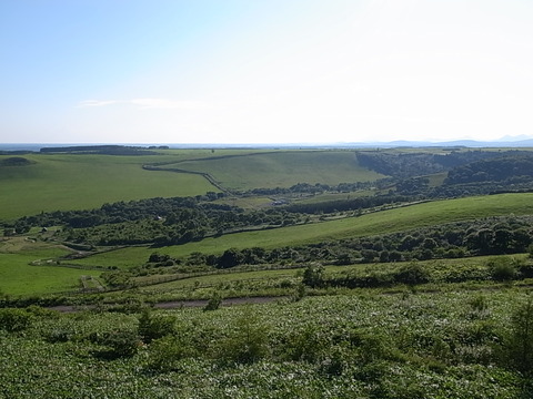 R0011365