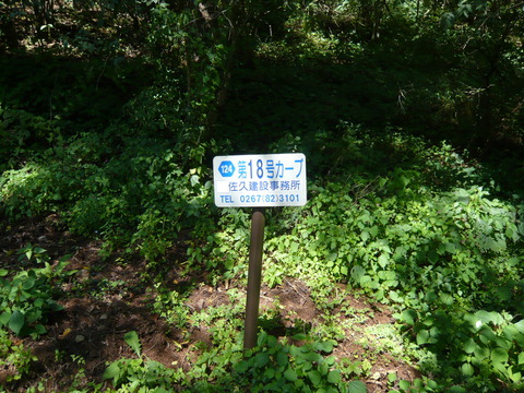 P1010846