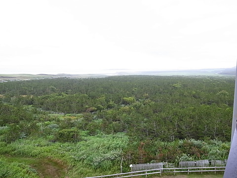 R0011254