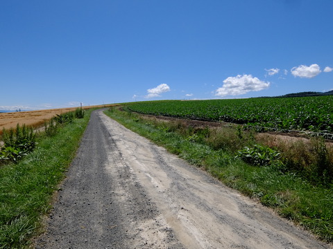 DSCF3179