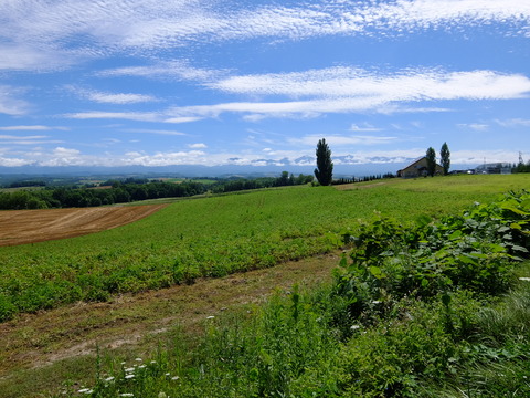 DSCF3140