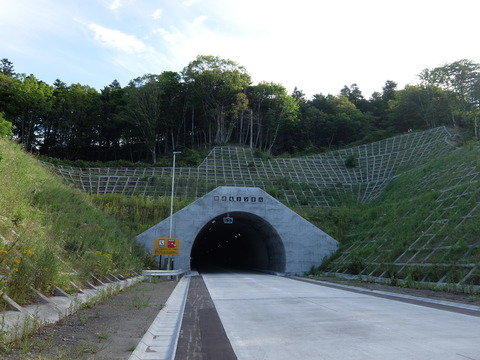 DSCF1153