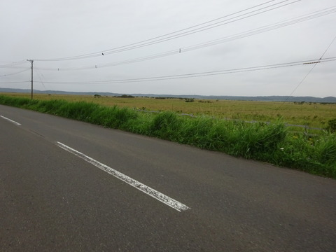 DSC00774