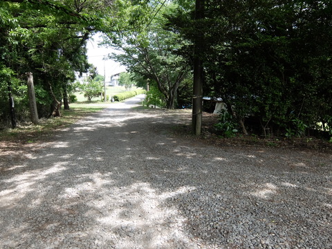 DSCF5602