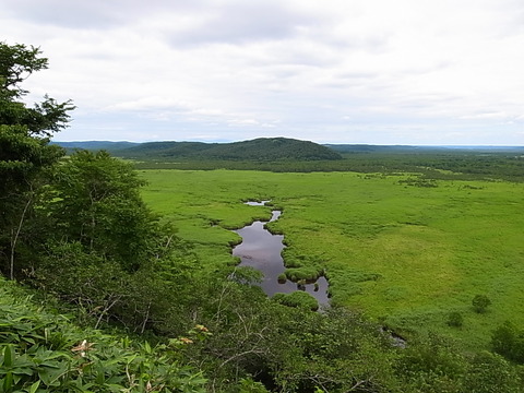 R0011485