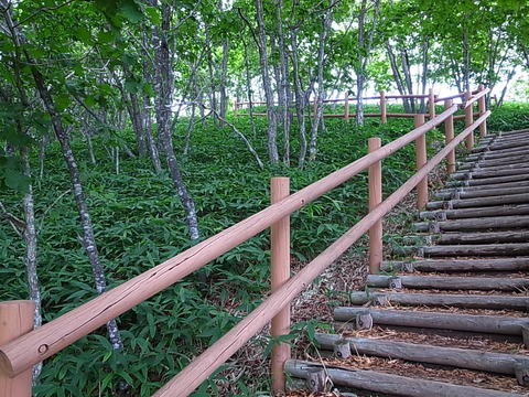 R0011491