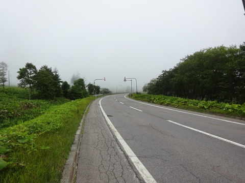 DSC00481