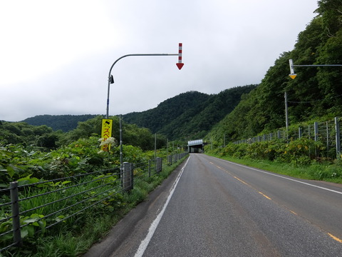 DSCF7238