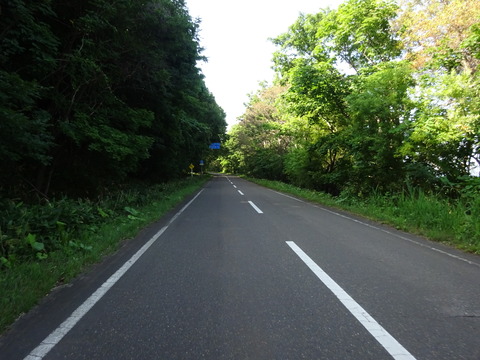 DSC00393
