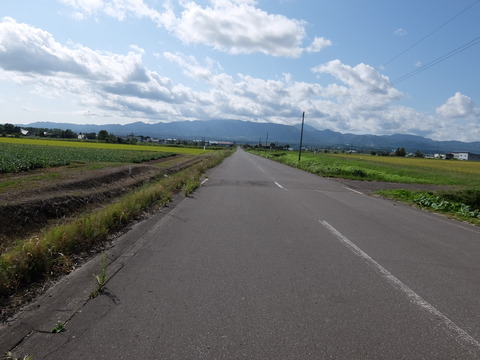 DSCF7551