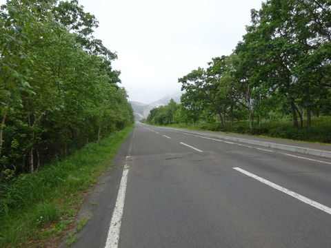 DSC00539