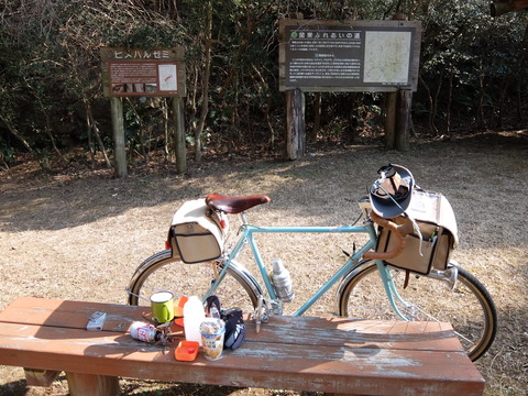 DSCF6267