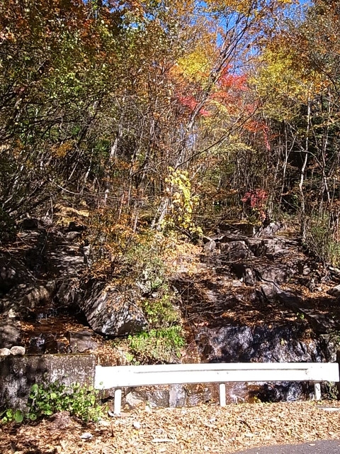 R0011683