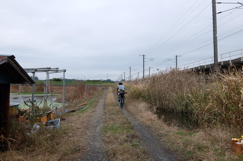 DSCF3512