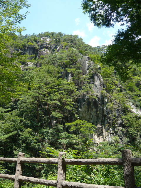 P1010617