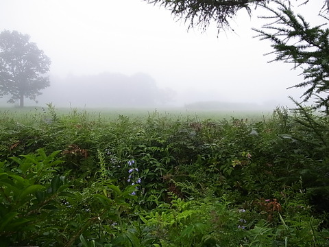 R0011502
