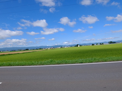 DSCF3107