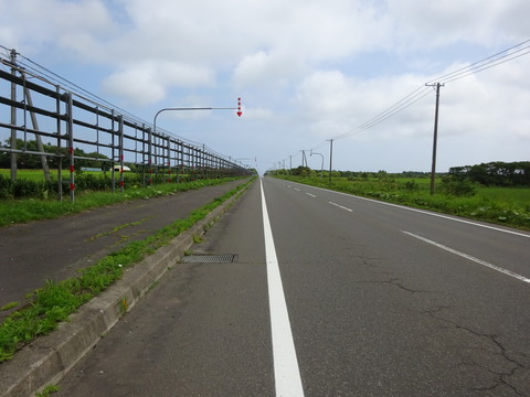 DSC00704