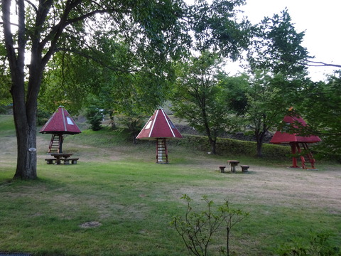 DSC00442