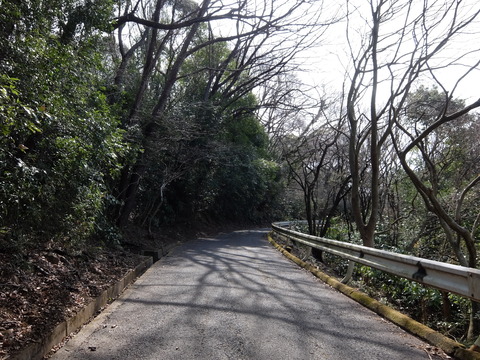 DSCF6294