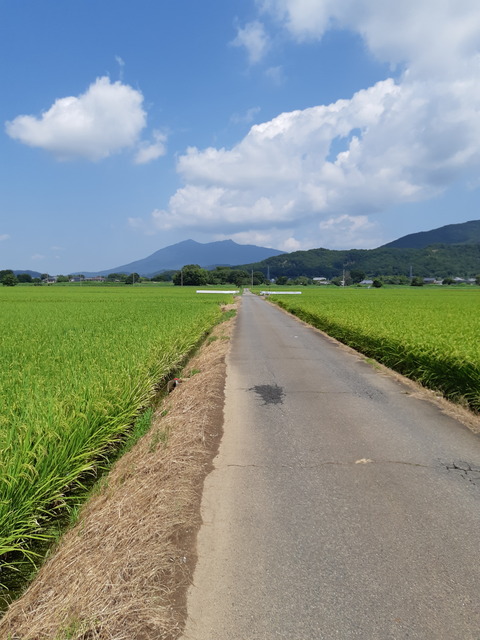 20190825_105339