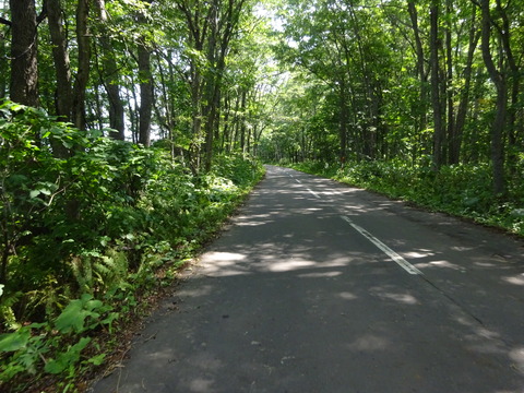 DSC00300