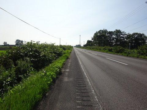 DSC00247