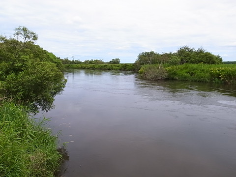 R0011482