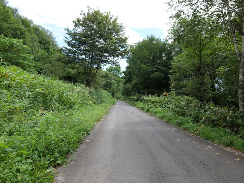 DSCF7291