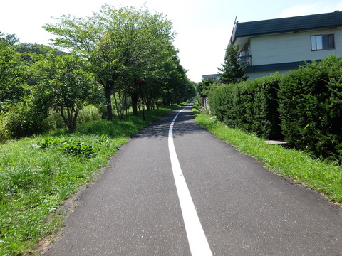 DSCF2441