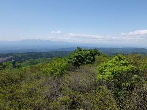 DSCF1838