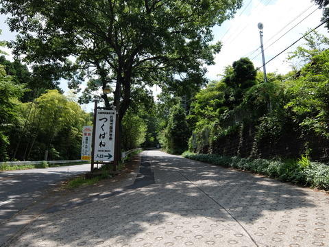 DSCF5632
