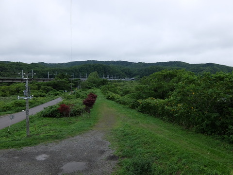 DSCF4041