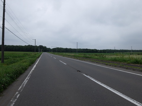 DSCF5131
