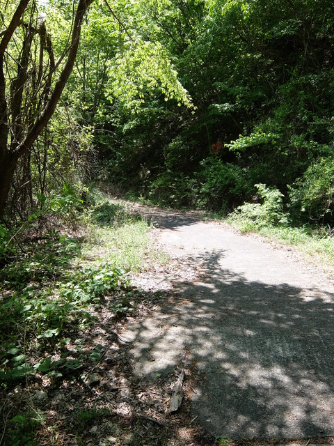 DSCF1817
