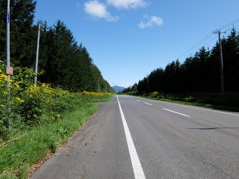 DSCF7206