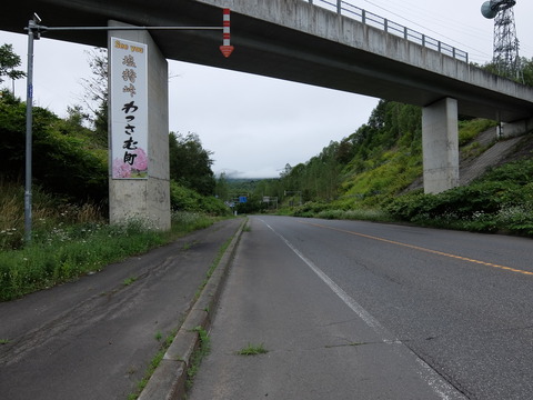 DSCF7336