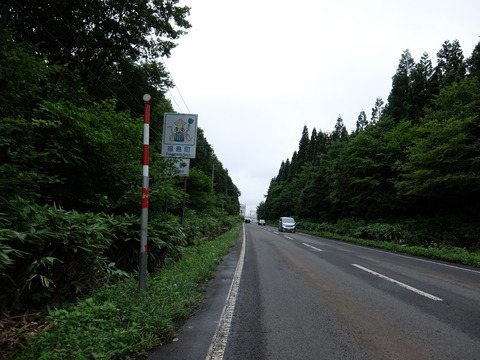 DSCF4046
