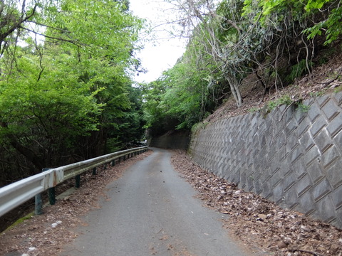 DSCF1711