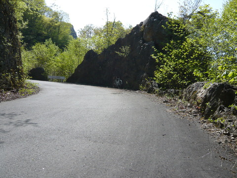 P1010468