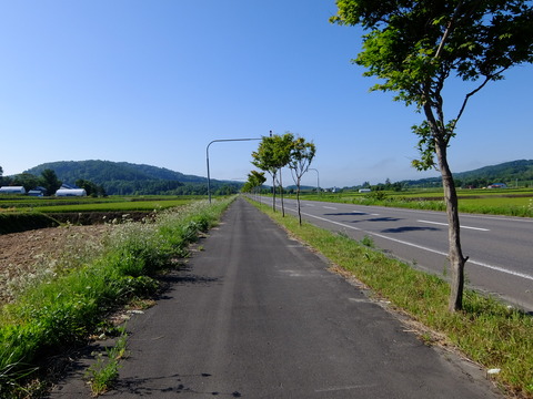 DSCF3406