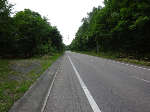 DSC00474