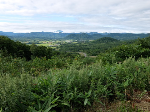 DSCF4763