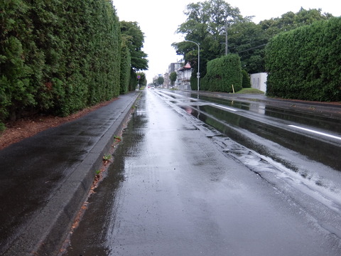 DSCF7690
