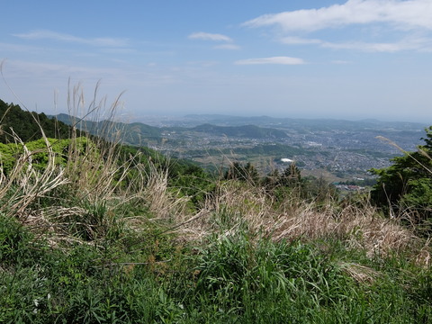 DSCF1744