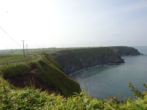 DSC00751