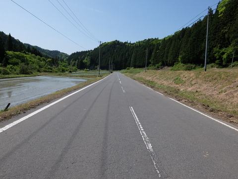 DSCF1774